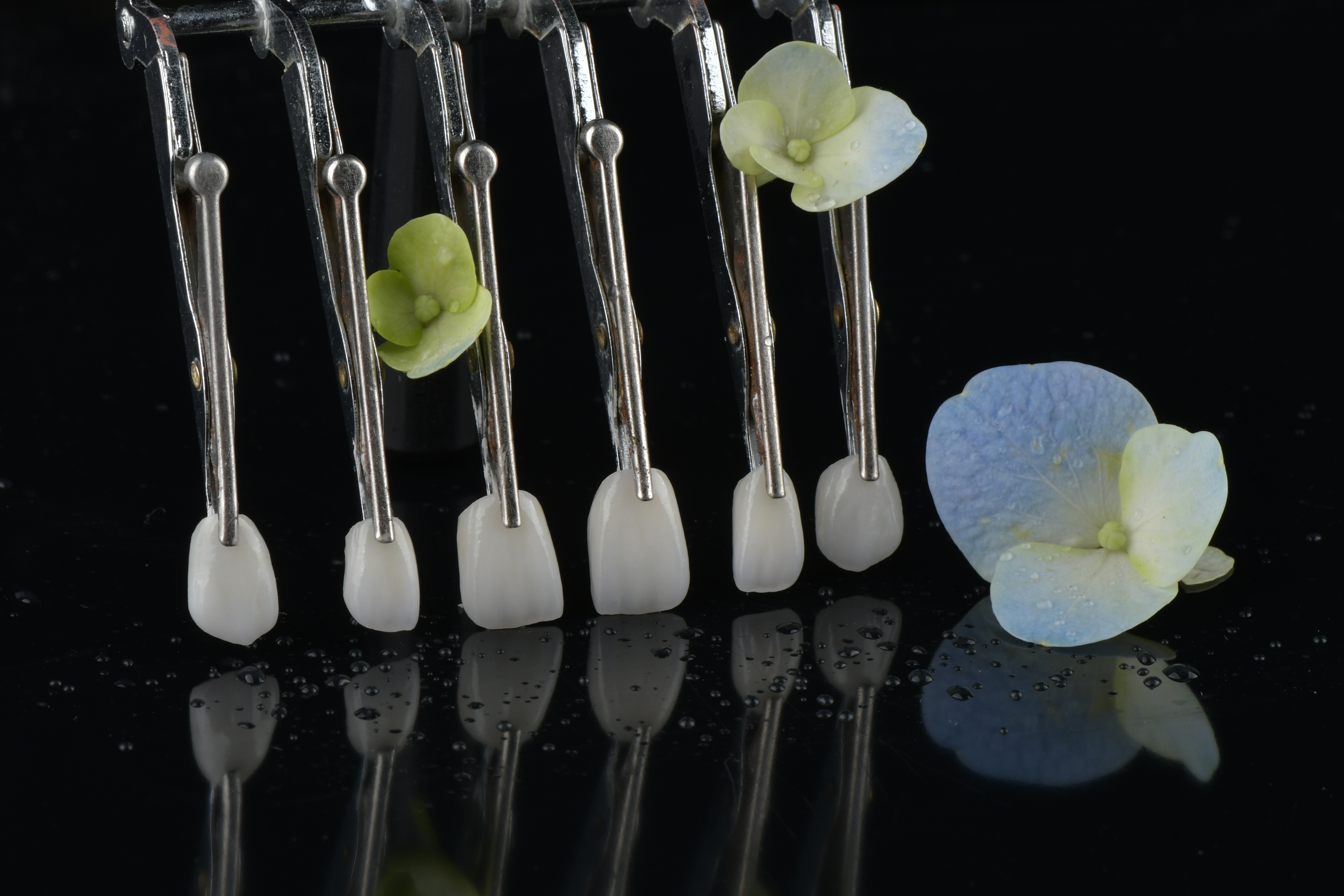 أحدث مدونات الشركة حول هل تتطلب عمليات الترميم الثابتة مواعيد للمتابعة؟